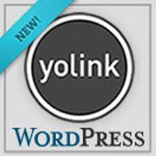 Improve Your Websites Search Function With Yolink