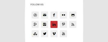 Wordpress Social Media Widget Simple Social Icons Review