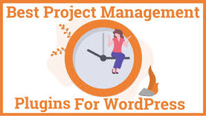 Asana Plugin On Wordpress For Better Project Management
