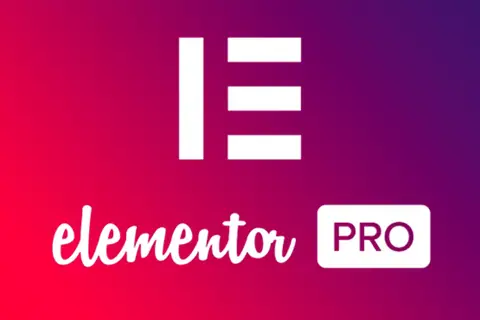 Elementor Pro